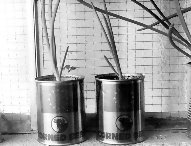 Hvala Europskoj uniji